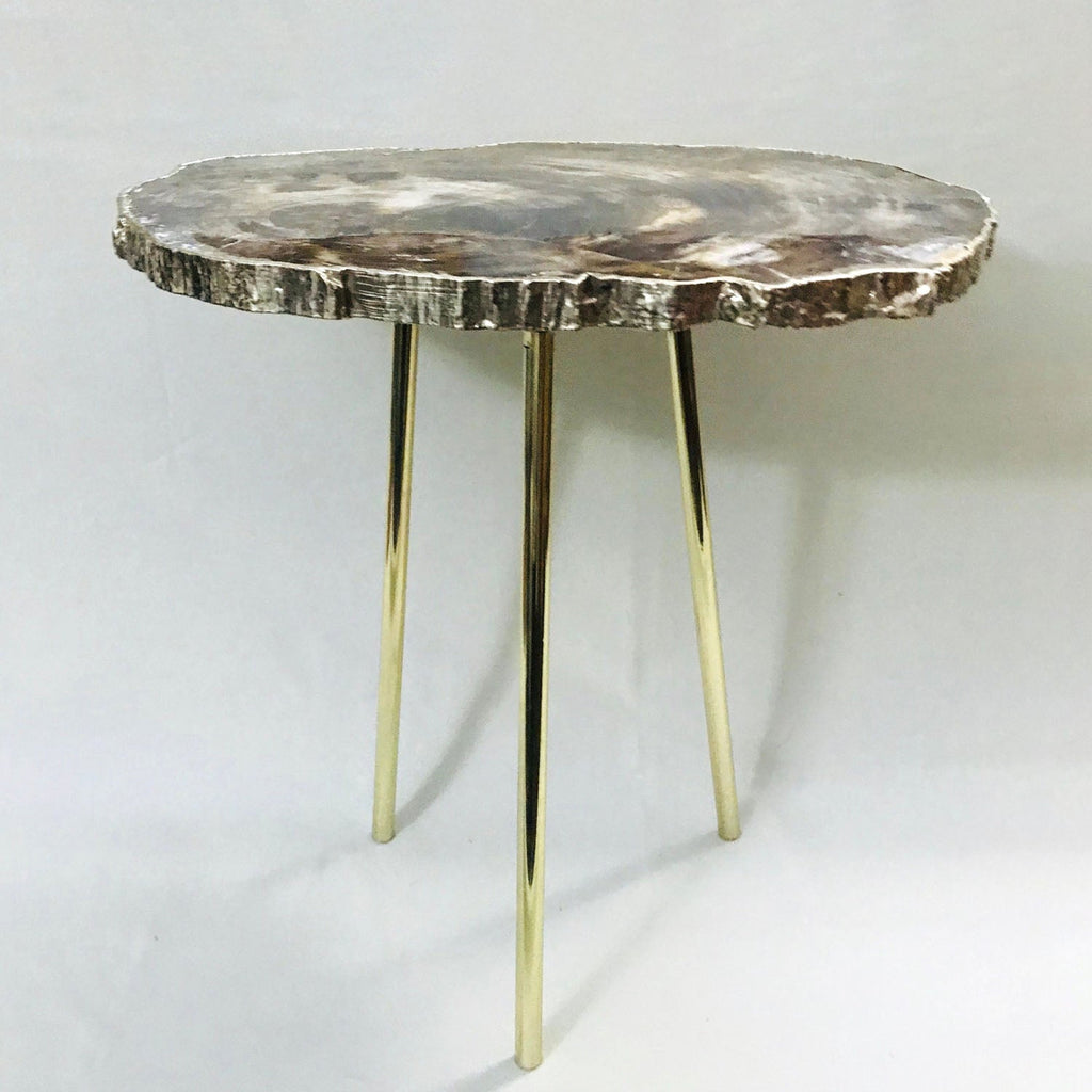 Petrified Wood Side Table, 18" x 12" Organic Edge-0