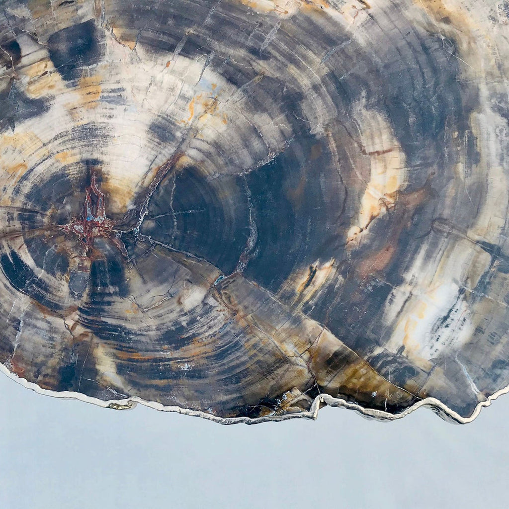 Petrified Wood Side Table, 18" x 12" Organic Edge-2