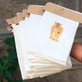 Lioness Kitchen Towel-0
